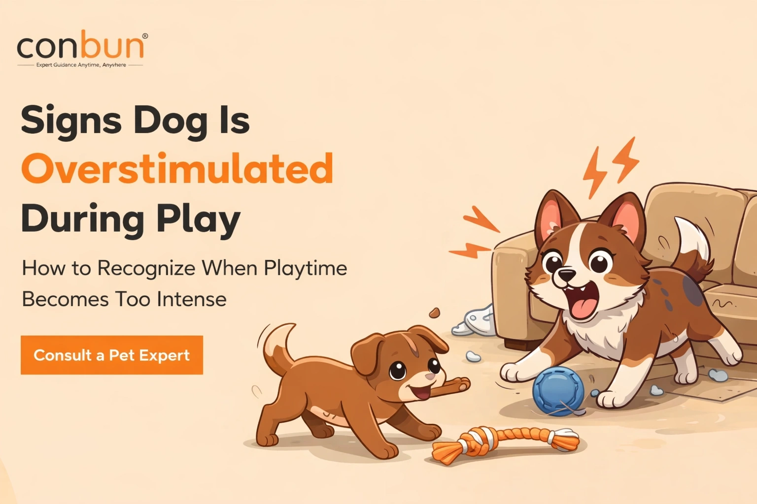 Signs dog is overstimulated during play